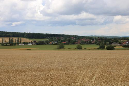 Skašov výběr