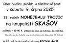 Nohejbal
